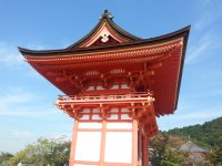 20121026_115815.jpg